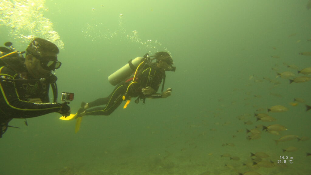 Outsourced Diving/ Sightseeing Tours